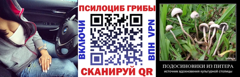 где продают   Юрюзань  omg   Галлюциногенные грибы Psilocybine cubensis 